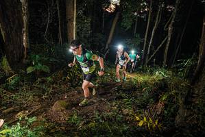 BIB: 
                            <button type="button" onclick="openModal(22424701)" class="btn btn-primary btn-sm float-right btn-popup" data-toggle="modal" data-target=".modal-high-quality">
                        <i class="fas fa-shopping-cart"></i> Add to Cart
                    </button>
                                            <button type="button" onclick="isThisMe(22424701, true)" class="btn btn-success btn-sm float-right btn-popup btn-isme hidden" data-toggle="tooltip" data-placement="bottom" title="นี่คือรูปของคุณใช่ไหม คลิกที่นี่เพื่อเอาเข้าอัลบั้ม">
                        <i class="fas fa-plus"></i> Add to album
                    </button>
                    <button type="button" onclick="isThisMe(22424701, false)" class="btn btn-warning btn-sm float-right btn-popup btn-isnotme hidden">
                        <i class="fas fa-ban"></i> Remove from album
                    </button>